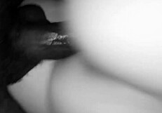 Bitch Rides Big Black Monster Cock Hard