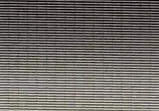 This amateur video captures a casual moment on July 18, 2016