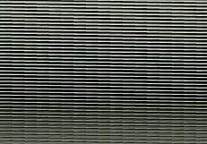 This amateur video captures a casual moment on July 18, 2016