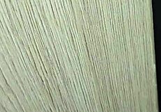 Door Open! Mature Fucks Teen's Big Ass Anal!