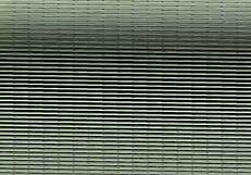 This amateur video captures a casual moment on July 18, 2016