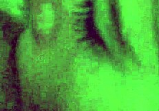 Hey, haze haze closeup and slow motion cock sucking 😏