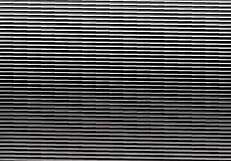 This amateur video captures a casual moment on July 18, 2016