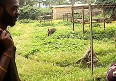 Tourists say, 'Let's fuck in the park'