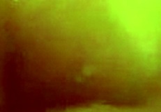 Fucking Her Pussy While Eating Her Out?