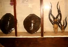 Tourists say, 'Let's fuck in the park'