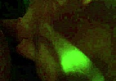 fuck my blond wife now?