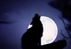 Sexmex Halloween special with Elvira and Maryam