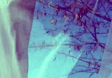 Bubble Butt Milf Latina Undresses In Lingerie, Feeling Amazing During Outdoor Striptease For Playboy.