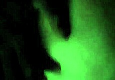 bbc meets bbw in a casual encounter