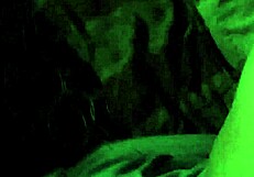 bbc meets bbw in a casual encounter