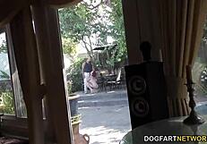 does anna bell peaks suck that huge monster cock in cuckold humiliation?