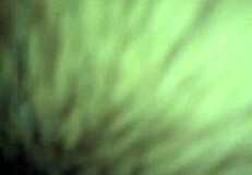 Latina Girl With Big Ass Bends Over For Doggystyle Action