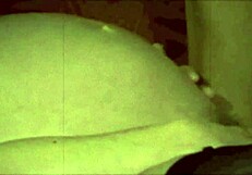 vintage pregnant beauty in retro lesbian scene from secret diaries