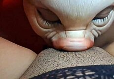 conozco a seguidor y lo hago mi esclavo