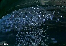 honey's erotic art with paul black