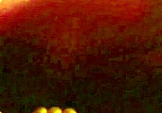 Young latina fucks and sucks long dick deep