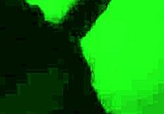 TOP 5 LATINA BABES MOAN IN ORGASM COMPILATION