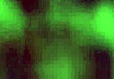 When I had a fever, the fairy sister helped me clear toxins