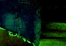 hotpants and shiny pantyhose