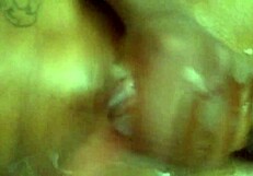 Big dick bust at end part 2