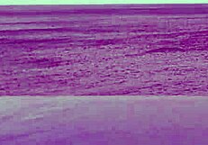 Student at Infinity Pool!