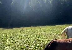 Will these tattoos bring me to the finish line with finishline goals vibe inkedmodel?