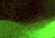 Girlfriend swallows cum after blowjob with monster cock