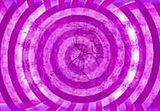 Pegging Rights Tease for Well-Trained Sissy in Emotional Session