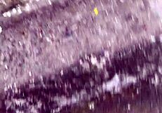 Amateur hottie with pink pussy climbs the hill craving wild street action