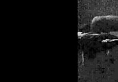 Guatemalan babe bent over for intense doggystyle pounding in hardcore scene