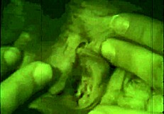 Vintage Dark London Scene From Swinging Sixties Shows Hairy Lesbian Lovers Licking Beaver In Retro British Style