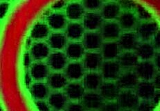 blonde milf sara jay starts with 69 face sitting and finger fucking. then she rides in cowgirl while muff diving for wet orgasm.