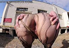 Mature Wife Shows Huge Ass in Thong Bodysuit!