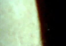 Extreme Squirting Wife Licked.