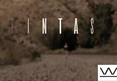 Is the AI Sexbot Programmed to Fuck Kylie Rocket Hard?