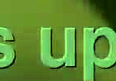 yung basquiat teams up with a1 district for 2024 release