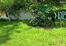 busty milf student gets fucked by trainer with big black cock