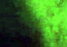 video clip from september 2015