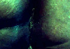 video clip from september 2015