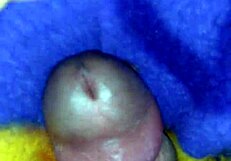 Mommy Gives Quickie Handjob And Fingering In Bed With Big Cock