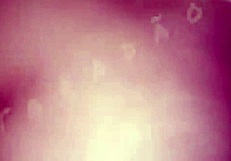 Socando No Cu E Gozando Na Boca