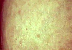 why not fuck my wife like this?