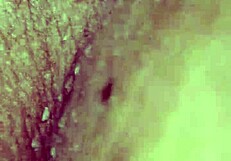 why not fuck my wife like this?