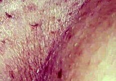 why not fuck my wife like this?