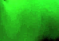 I Finally Meet and Fuck Beautiful Porn Model in West Africa, She Creampies on My BBC