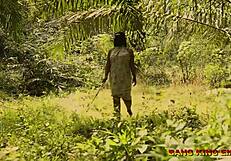 Outdoor amateur BBW fucked bent over in bush