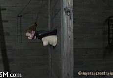 Check out these erotic S&M images! Amazing collection!