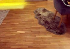 veronica leal's forbidden stay turns into wet fun