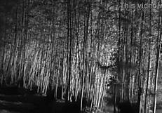 Missy Jubilee explores intense themes in episode 126 with a bold statement.